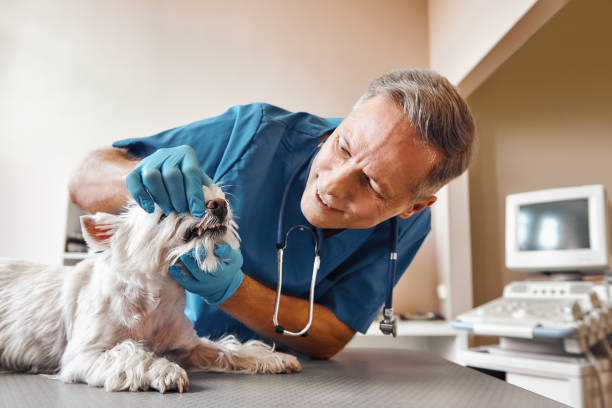 Best Emergency Tooth Extraction in Flowood, MS